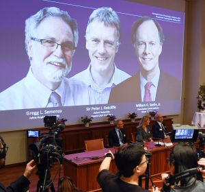 Los distinguidos al Premio Nobel de Medicina 2019 Los distinguidos al Premio Nobel de Medicina 2019