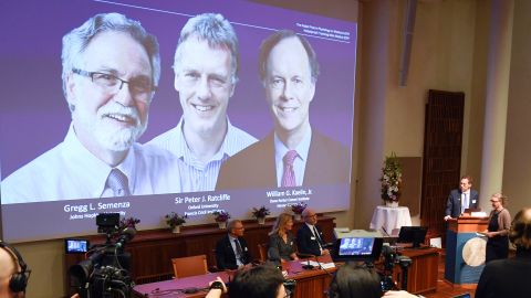 Los distinguidos al Premio Nobel de Medicina 2019