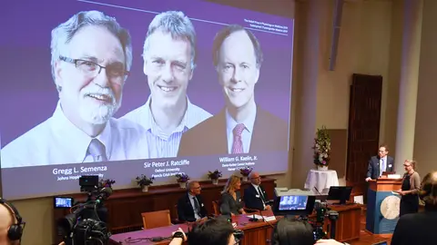 Los distinguidos al Premio Nobel de Medicina 2019 Los distinguidos al Premio Nobel de Medicina 2019
