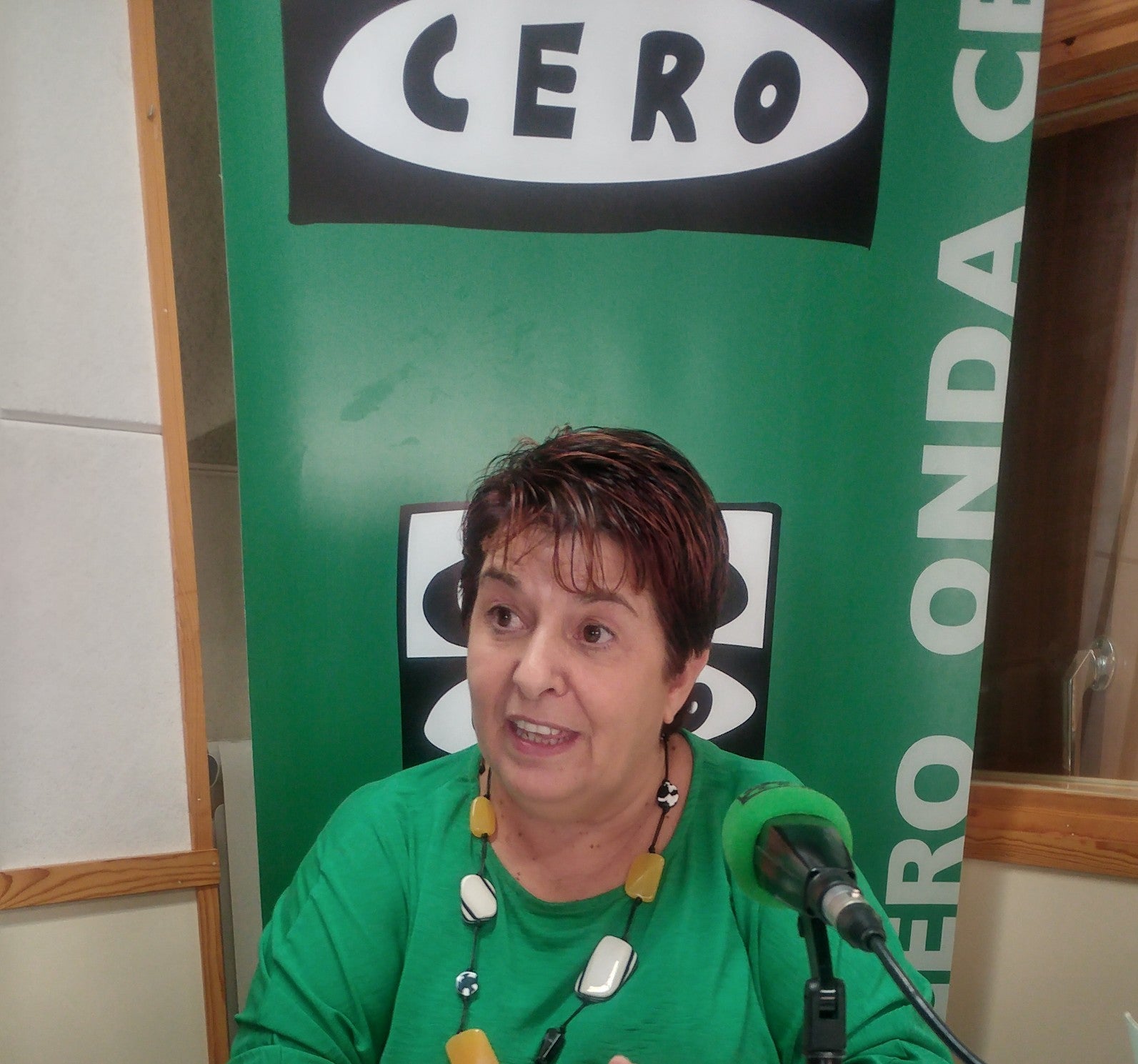 Clara Luquero, alcaldesa de Segovia Clara Luquero, alcaldesa de Segovia