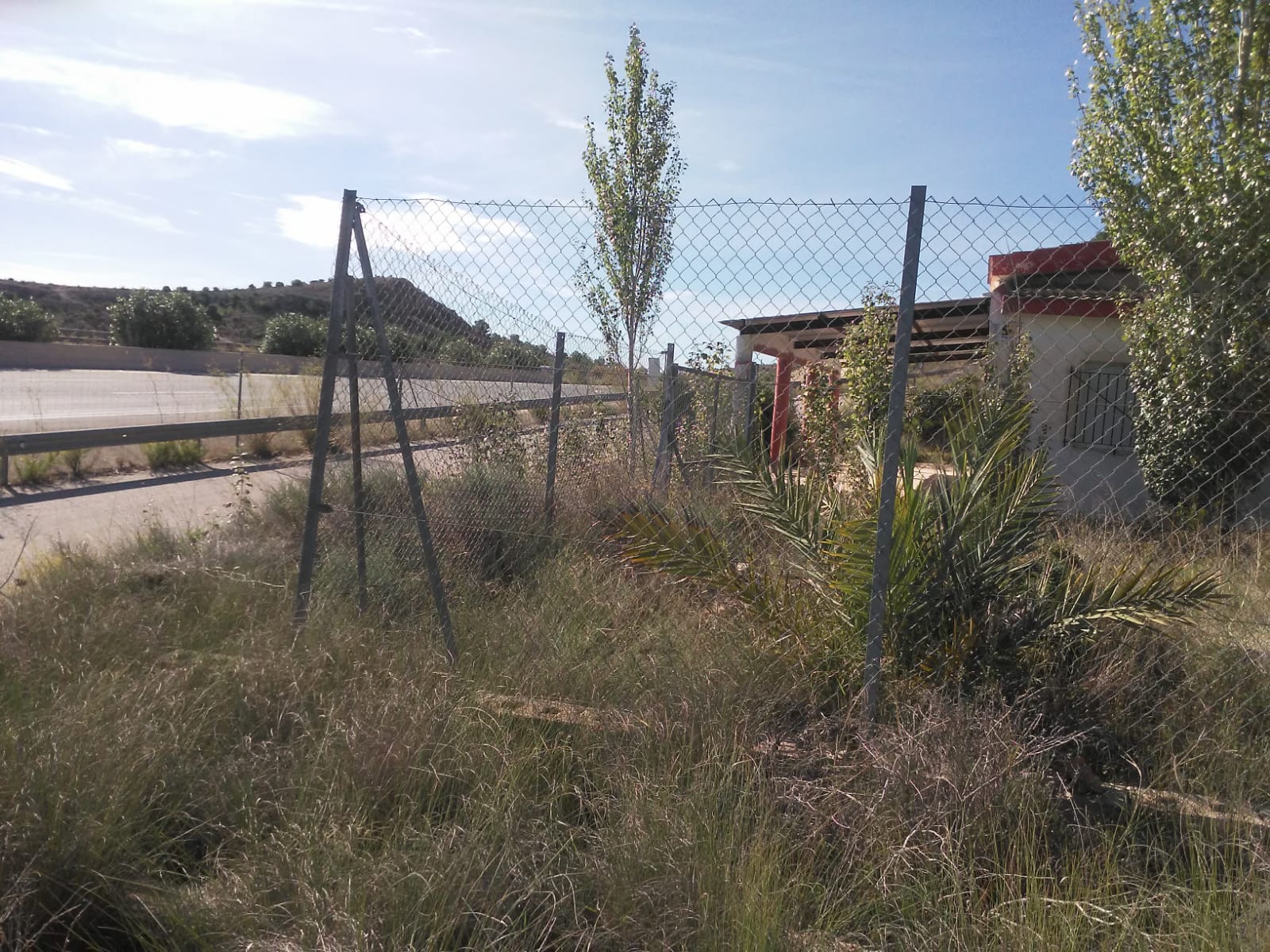 La Junta de Gobierno de Elche pide a Fomento pantallas acústicas en la A7 a su paso por Vallongas-Ferriol La Junta de Gobierno de Elche pide a Fomento pantallas acústicas en la A7 a su paso por Vallongas-Ferriol