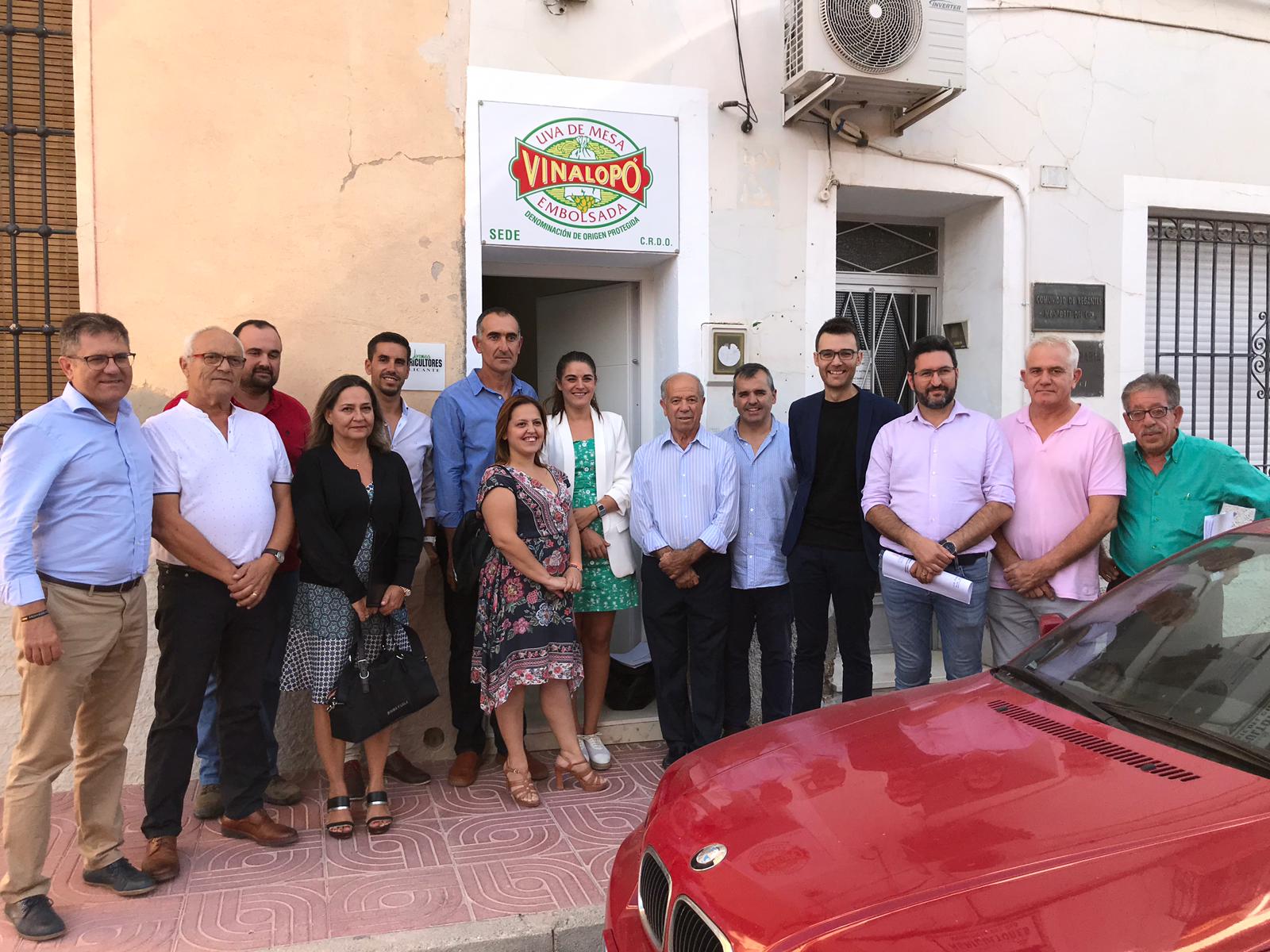 Los municipios productores de uva de mesa del Vinalopó piden una rebaja del IRPF que se aplica al sector y del importe de los seguros Los municipios productores de uva de mesa del Vinalopó piden una rebaja del IRPF que se aplica al sector y del importe de los seguros