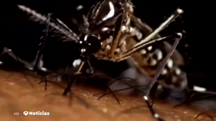 Aprobada una moción del PP para combatir la plaga de mosquitos Aprobada una moción del PP para combatir la plaga de mosquitos