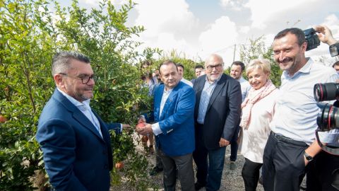 Acto de corte simb&oacute;lico de la primera granada Mollar de Elche en 2019.