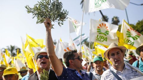 Miles de agricultores se han manifestado en Madrid 