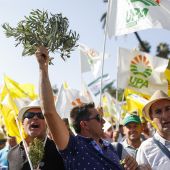 Miles de agricultores se han manifestado en Madrid 