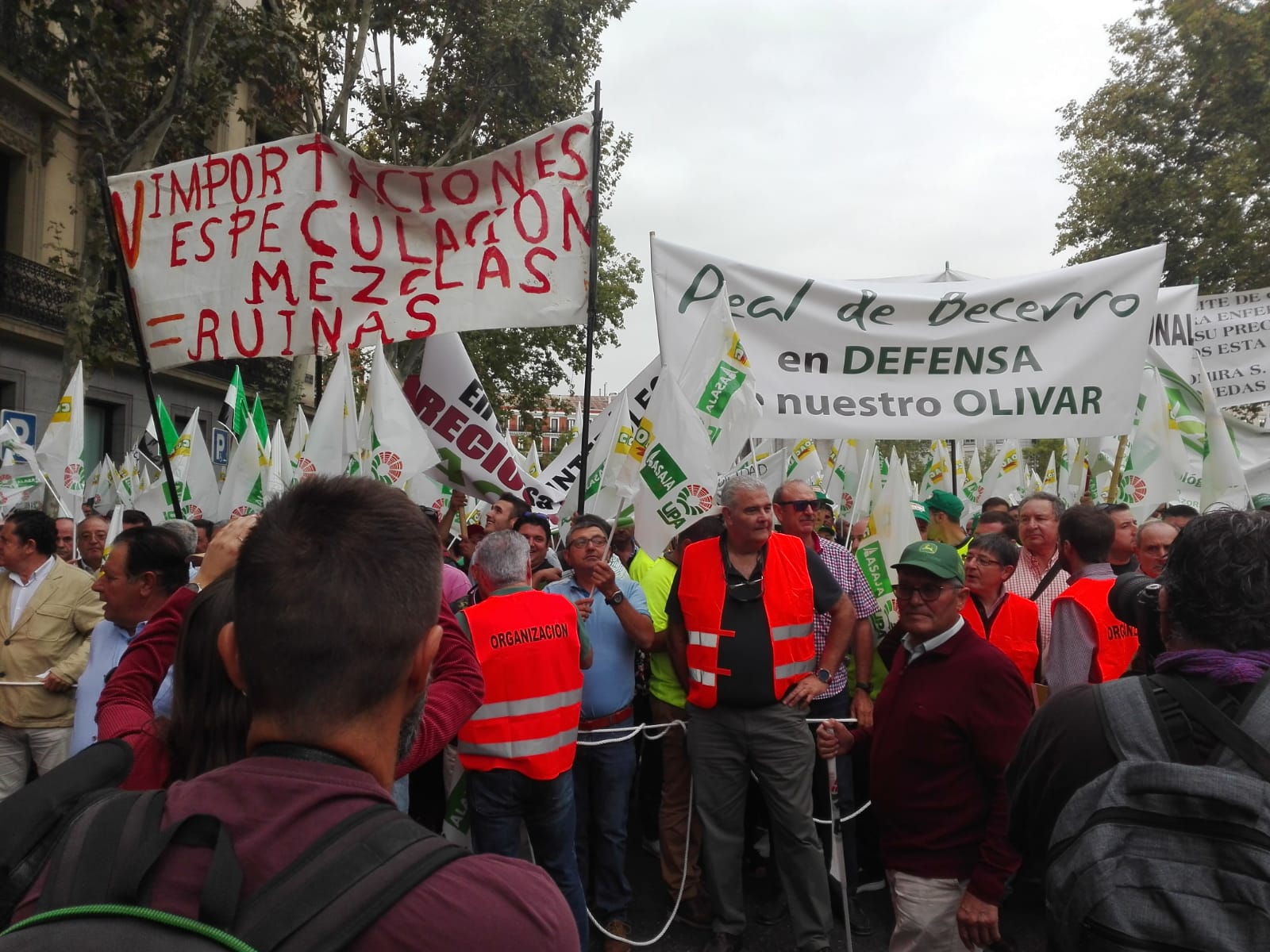 Miles de olivareros protestan en Madrid por la caída de precios del aceite y los aranceles de Trump Miles de olivareros protestan en Madrid por la caída de precios del aceite y los aranceles de Trump
