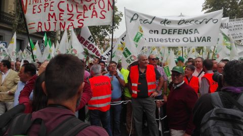 Manifestaci&oacute;n de los olivareros en Madrid