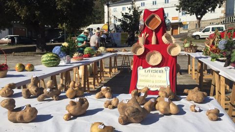 Chega a 40&ordf; edici&oacute;n da Festa da Pataca de Vilar de Barrio