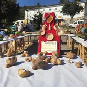 Festa da Pataca de Vilar de Barrio Festa da Pataca de Vilar de Barrio