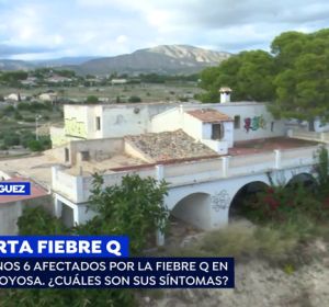 Sanidad confirma la existencia de un brote de fiebre Q en Villajoyosa, Alicante Sanidad confirma la existencia de un brote de fiebre Q en Villajoyosa, Alicante