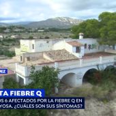 Sanidad confirma la existencia de un brote de fiebre Q en Villajoyosa, Alicante