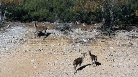 Diputaci&oacute;n de Palencia