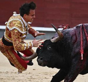 La grave cornada a Gonzalo Caballero La grave cornada a Gonzalo Caballero