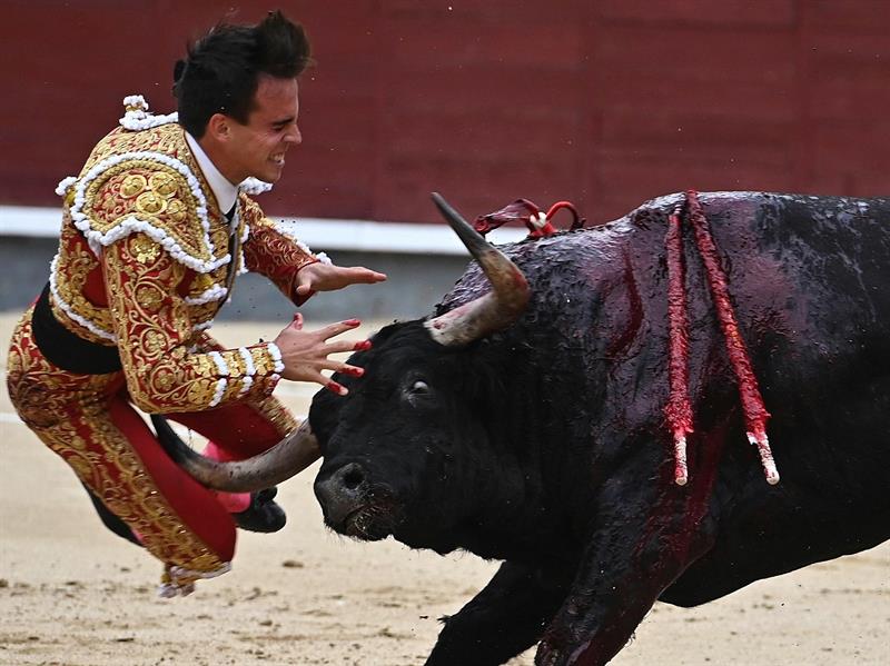 Gonzalo Caballero, el torero al que se relaciona con Victoria Federica, sufre una grave cornada en Las Ventas Gonzalo Caballero, el torero al que se relaciona con Victoria Federica, sufre una grave cornada en Las Ventas