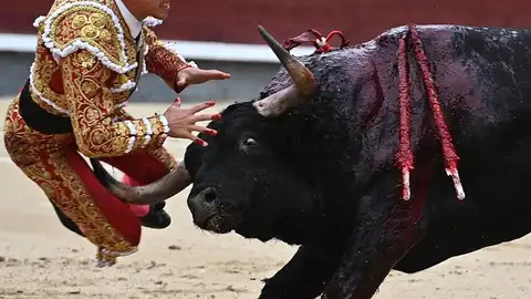 La grave cornada a Gonzalo Caballero La grave cornada a Gonzalo Caballero