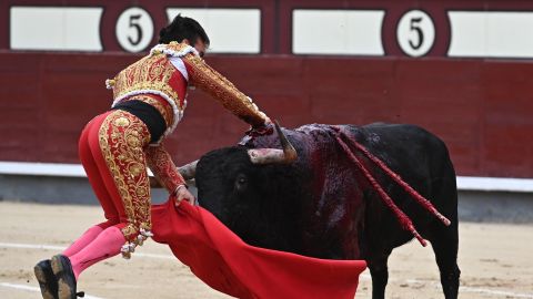 Gonzalo Caballero, intervenido por segunda vez de la cornada en Las Ventas