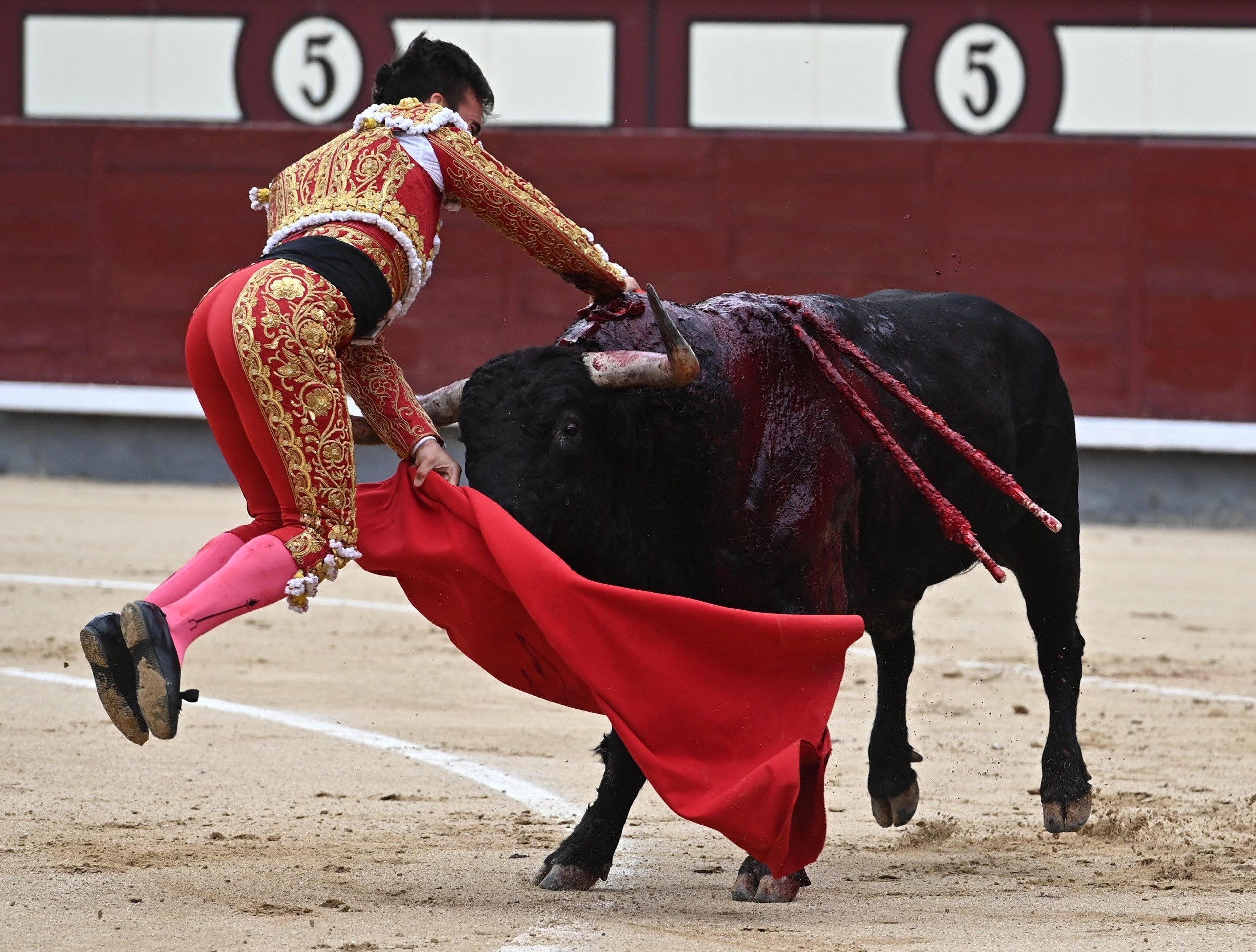 Onda Ruedo