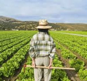 Hoy se celebra el Día Internacional de la Mujer Rural Hoy se celebra el Día Internacional de la Mujer Rural