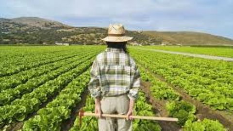 Hoy se celebra el D&iacute;a Internacional de la Mujer Rural
