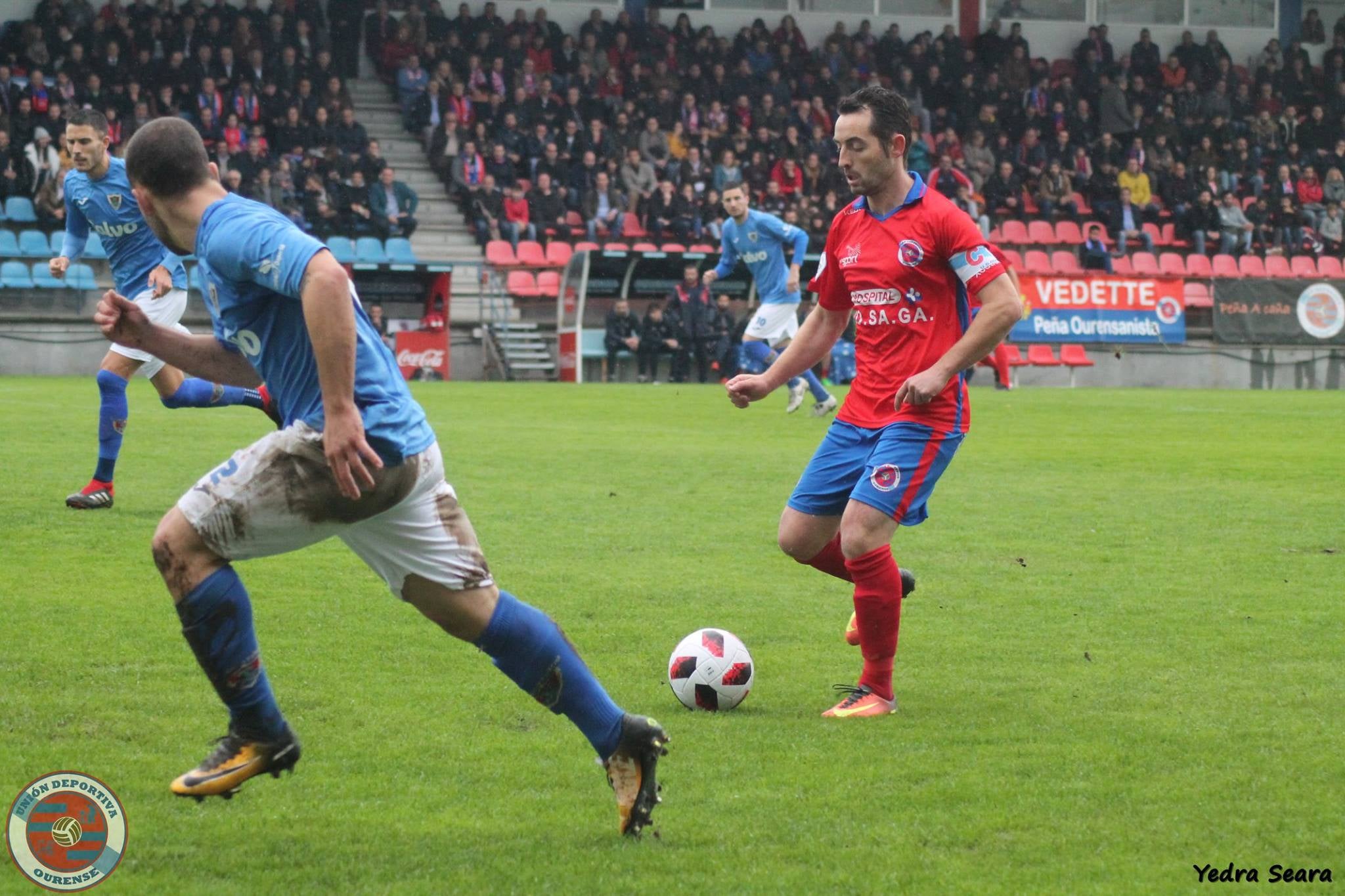 Bergantiños, un nuevo coco llega a O Couto Bergantiños, un nuevo coco llega a O Couto
