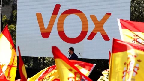Manifestaci&oacute;n de Vox en Col&oacute;n, Madrid