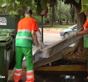 Operarios retiran los colchones en Torrevieja Operarios retiran los colchones en Torrevieja