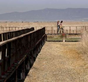 La Junta defiende un trasvase a las Tablas de Daimiel La Junta defiende un trasvase a las Tablas de Daimiel