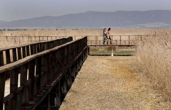 Desciende el 40% de turistas a las Tablas de Daimiel Desciende el 40% de turistas a las Tablas de Daimiel