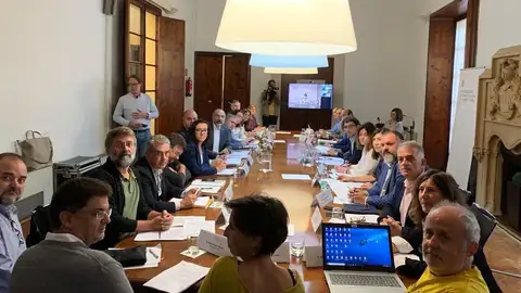 Diferentes sectores de turismo reunidos en la Comisión del Impuesto de turismo sostenible Diferentes sectores de turismo reunidos en la Comisión del Impuesto de turismo sostenible