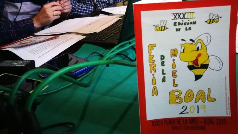 FERIA MIEL BOAL