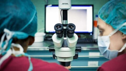 Investigaci&oacute;n con inmunoterapia