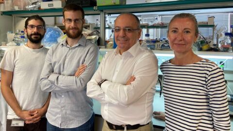 Investigadores del Instituto de Neurociencias que han participado en el estudio.