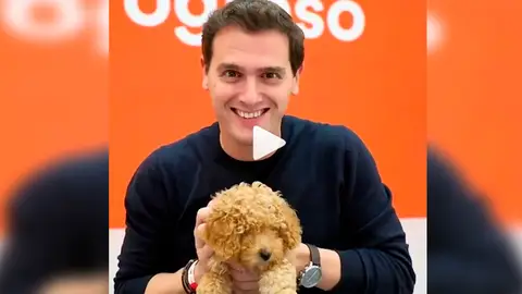 Albert Rivera y su "arma secreta", Lucas Albert Rivera y su "arma secreta", Lucas