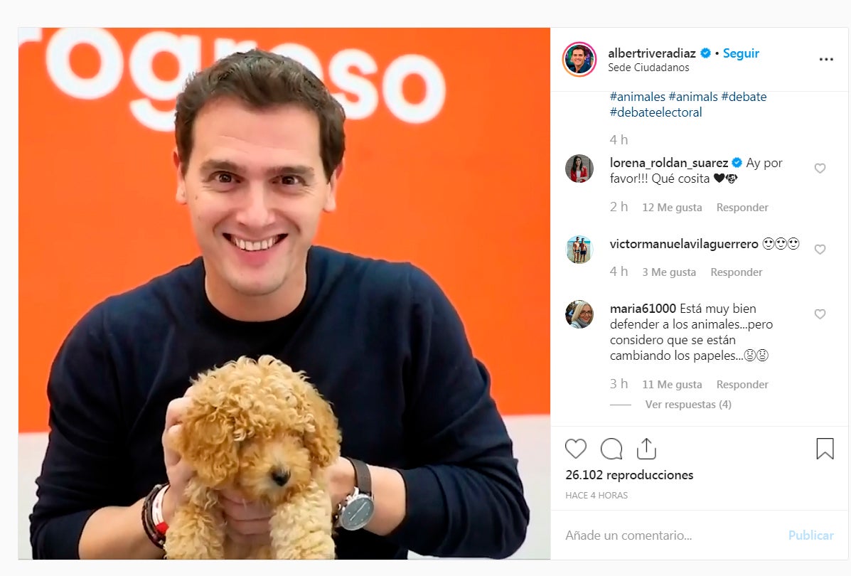 Rubén Amón indulta a Rivera: "Refugiaba su angustia en el candor del animalillo. No olía a leche. Olía a sangre" Rubén Amón indulta a Rivera: "Refugiaba su angustia en el candor del animalillo. No olía a leche. Olía a sangre"