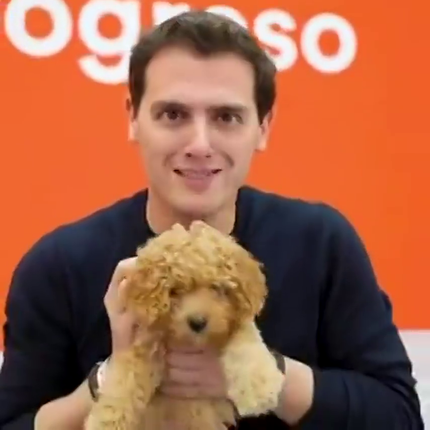 Persona Física: "Nuevo episodio de Albert Rivera, el encantador de perros" Persona Física: "Nuevo episodio de Albert Rivera, el encantador de perros"