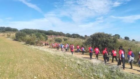Hospital Universitario de Torrej&oacute;n