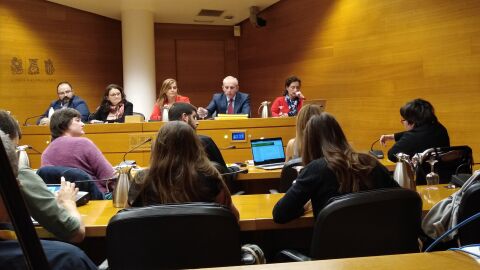 COMISI&Oacute;N OLTRA