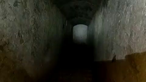 Los trabajos de desatascar una tuber&iacute;a hallan el refugio antia&eacute;reo de la Guerra Civil de la Plaza de las Flores de Elche