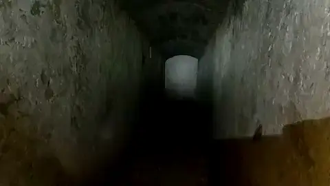 Los trabajos de desatascar una tubería hallan el refugio antiaéreo de la Guerra Civil de la Plaza de las Flores de Elche Los trabajos de desatascar una tubería hallan el refugio antiaéreo de la Guerra Civil de la Plaza de las Flores de Elche