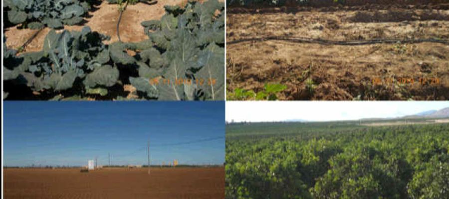 Fincas Fincas