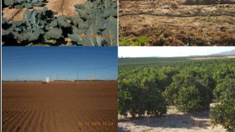 Fincas Fincas