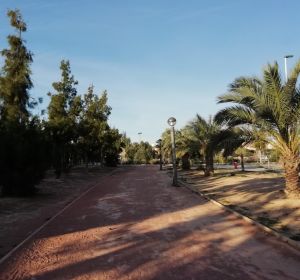Zona Altabix-Universidad de Elche. Zona Altabix-Universidad de Elche.