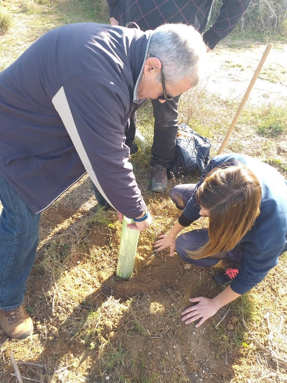 Una treintena de personas participan en una nueva jornada de revegetación en el Clot de Galvany de Elche Una treintena de personas participan en una nueva jornada de revegetación en el Clot de Galvany de Elche