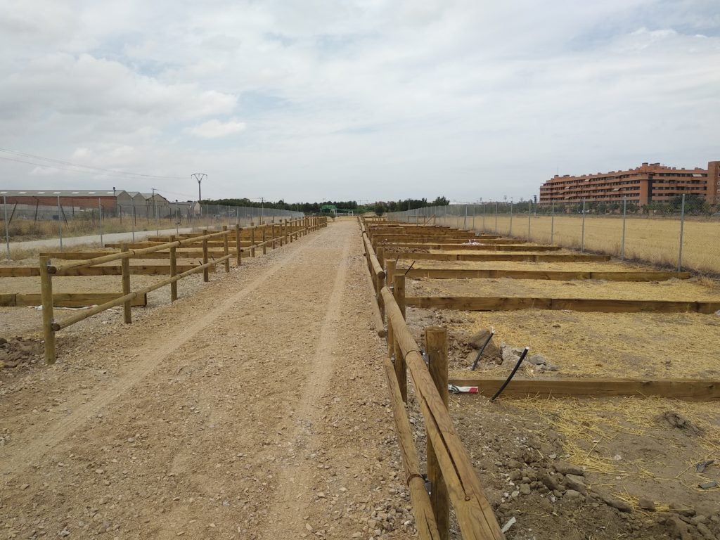 Los huertos urbanos ganan terreno en Getafe Los huertos urbanos ganan terreno en Getafe