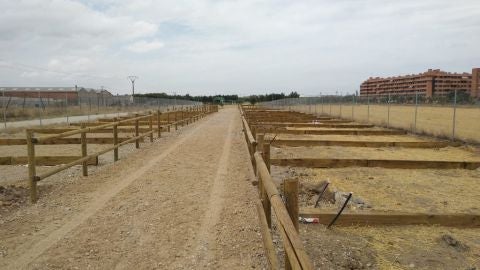 Huerto urbano Getafe