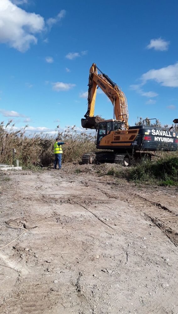 Trabajos que se están desarrollado en El Hondo.
