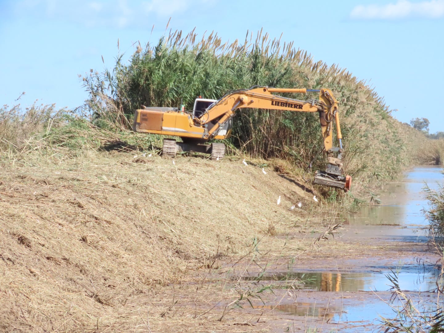 El Parque Natural de El Hondo cierra la zona de La Reserva por trabajos de mejora del hábitat del humedal El Parque Natural de El Hondo cierra la zona de La Reserva por trabajos de mejora del hábitat del humedal