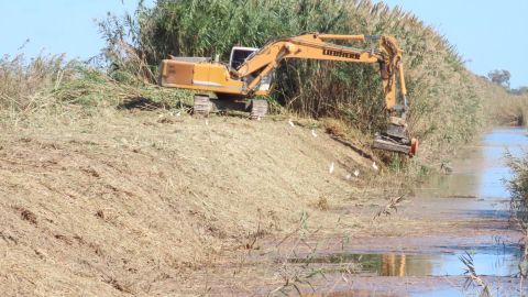 Trabajos que se est&aacute;n desarrollado en El Hondo.