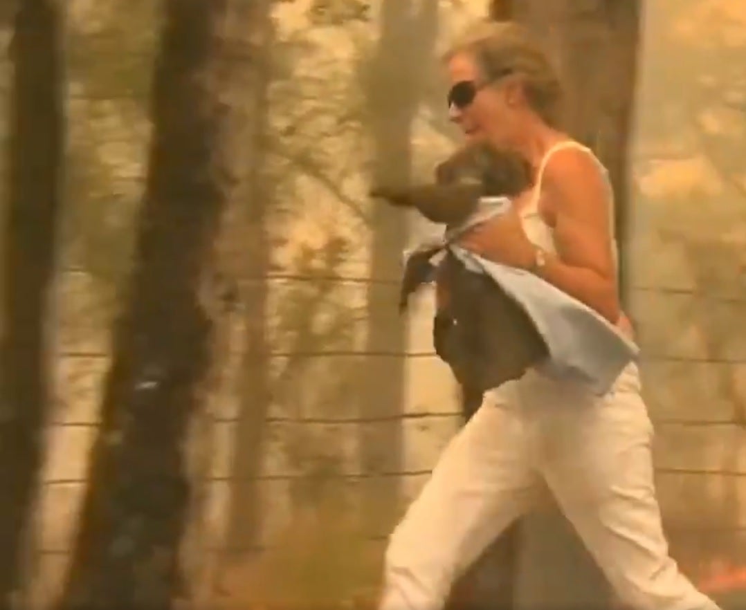 El dramático rescate de un koala atrapado en los incendios en Australia El dramático rescate de un koala atrapado en los incendios en Australia